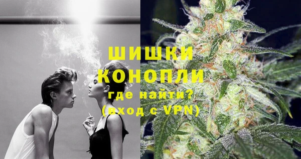 винт Белокуриха