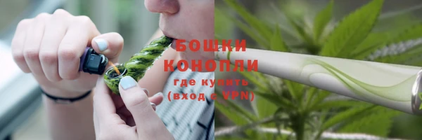 винт Белокуриха