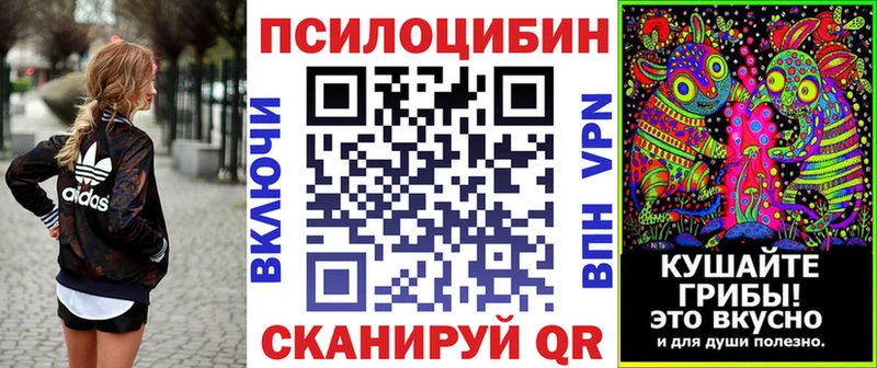 Псилоцибиновые грибы Psilocybe Верхний Тагил